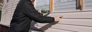 Best Custom Trim and Detailing for Siding  in Dove Valley, CO